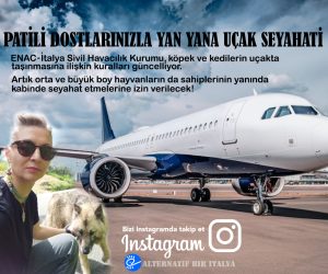 Read more about the article İtalya’da Patili Dostlarımızla Uçak Seyahati